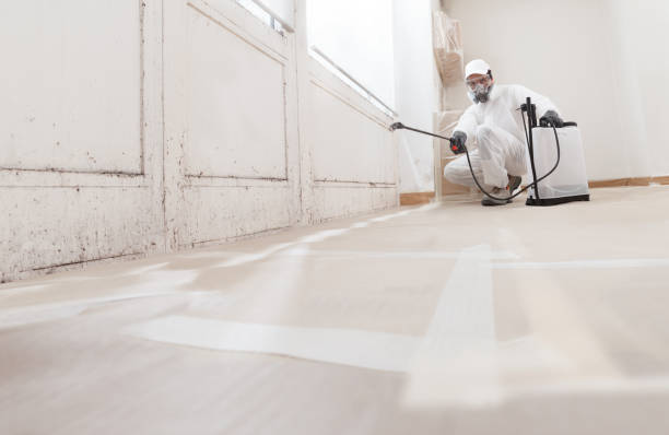 Black mold remediation team in Melville